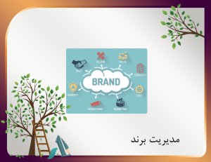 عـِلیمی|ELIMI